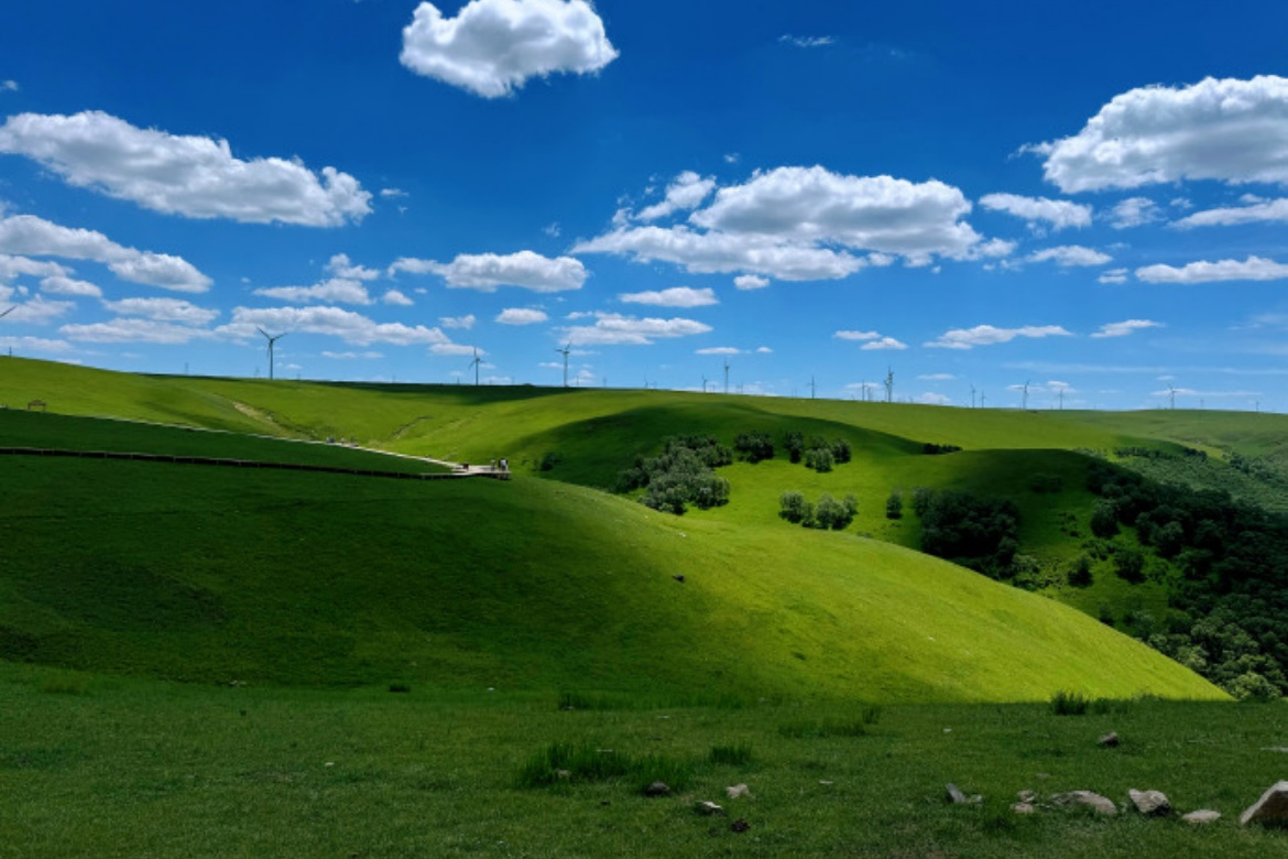 Ulanqab Grassland